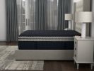 Wink Blue 17" Double Box Top Twin Mattress